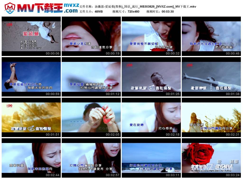 汤薇恩-爱延蔓(替换)_国语_流行_MB303829